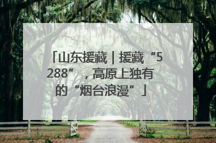 山东援藏｜援藏“5288”，高原上独有的“烟台浪漫”