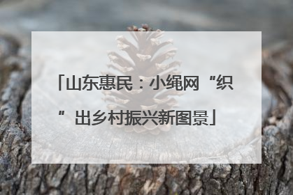 山东惠民：小绳网“织”出乡村振兴新图景