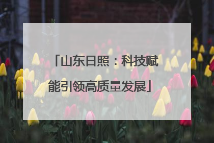 山东日照：科技赋能引领高质量发展