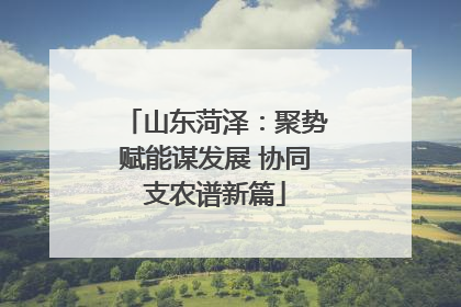 山东菏泽：聚势赋能谋发展 协同支农谱新篇