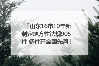 山东16市10年新制定地方性法规905件 多件开全国先河
