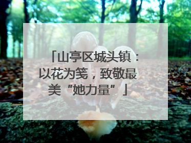 山亭区城头镇：以花为笺，致敬最美“她力量”