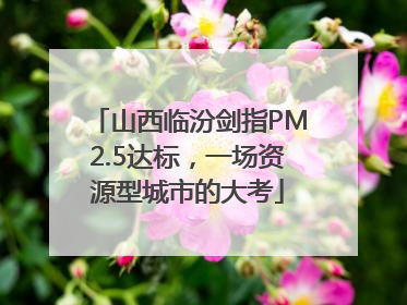 山西临汾剑指PM2.5达标，一场资源型城市的大考
