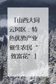 山西大同云冈区：特色优势产业催生农民“致富花”