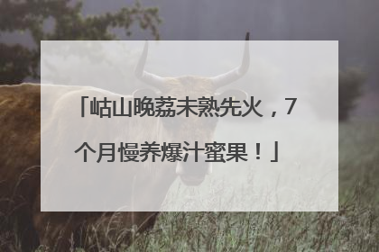 岵山晚荔未熟先火，7个月慢养爆汁蜜果！