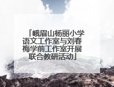 峨眉山杨丽小学语文工作室与刘春梅学前工作室开展联合教研活动