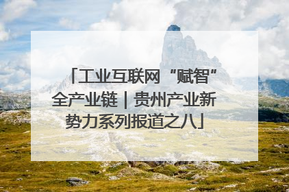 工业互联网“赋智”全产业链｜贵州产业新势力系列报道之八
