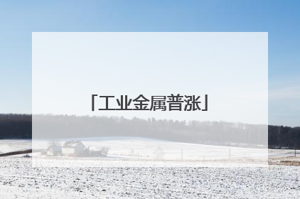 工业金属普涨