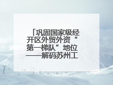 巩固国家级经开区外贸外资“第一梯队”地位——解码苏州工业园区样本