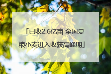 已收2.6亿亩 全国夏粮小麦进入收获高峰期