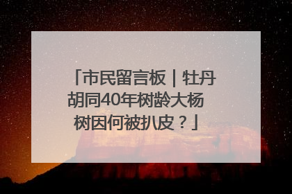 市民留言板｜牡丹胡同40年树龄大杨树因何被扒皮？