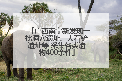 广西南宁新发现一批洞穴遗址、大石铲遗址等 采集各类遗物400余件