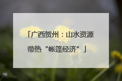 广西贺州：山水资源带热“帐篷经济”