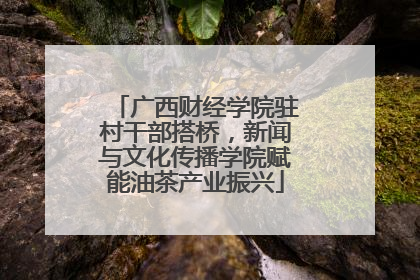 广西财经学院驻村干部搭桥，新闻与文化传播学院赋能油茶产业振兴