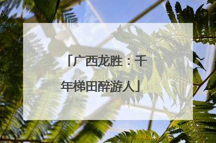 广西龙胜：千年梯田醉游人
