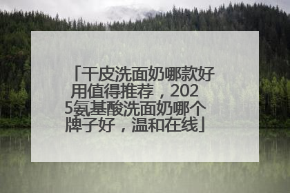 干皮洗面奶哪款好用值得推荐，2025氨基酸洗面奶哪个牌子好，温和在线