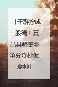 干群拧成一股绳！夏邑县骆集乡争分夺秒促夏种