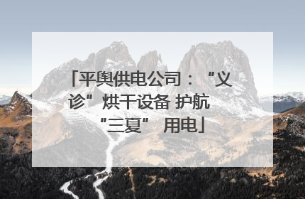平舆供电公司：“义诊”烘干设备 护航 “三夏” 用电