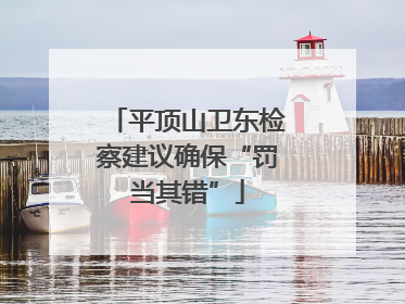 平顶山卫东检察建议确保“罚当其错”