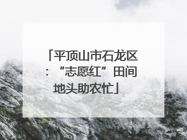 平顶山市石龙区：“志愿红”田间地头助农忙