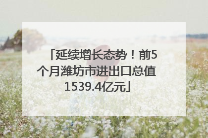 延续增长态势！前5个月潍坊市进出口总值1539.4亿元