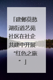 建邺莫愁湖街道艺苑社区在社企共建中开展“红色之旅”