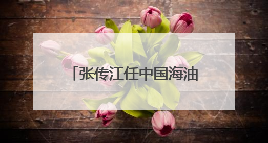 张传江任中国海油董事长、党组书记