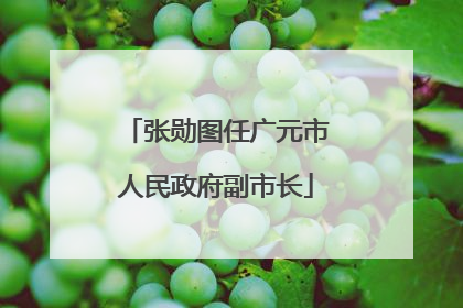 张勋图任广元市人民政府副市长