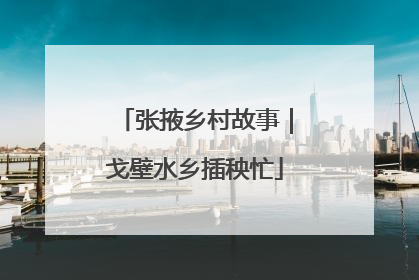 张掖乡村故事｜戈壁水乡插秧忙