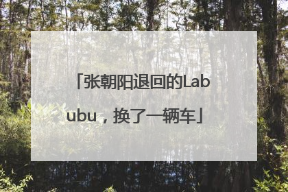 张朝阳退回的Labubu，换了一辆车