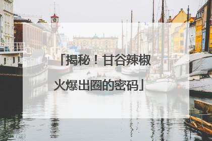 揭秘！甘谷辣椒火爆出圈的密码