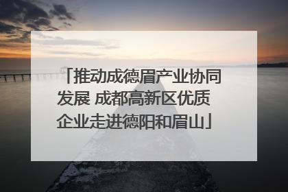 推动成德眉产业协同发展 成都高新区优质企业走进德阳和眉山