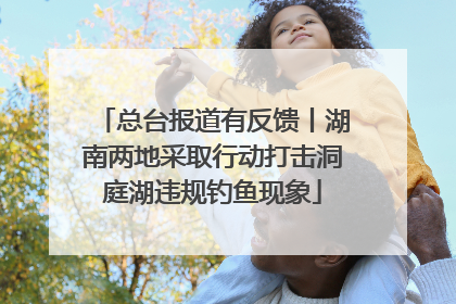总台报道有反馈丨湖南两地采取行动打击洞庭湖违规钓鱼现象