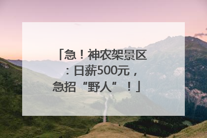 急！神农架景区：日薪500元，急招“野人”！