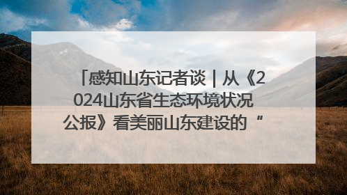 感知山东记者谈｜从《2024山东省生态环境状况公报》看美丽山东建设的“成绩单”与“任务书”