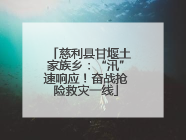 慈利县甘堰土家族乡：“汛”速响应！奋战抢险救灾一线