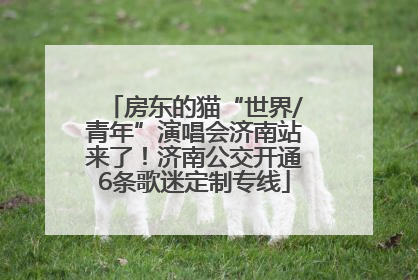 房东的猫“世界/青年”演唱会济南站来了！济南公交开通6条歌迷定制专线