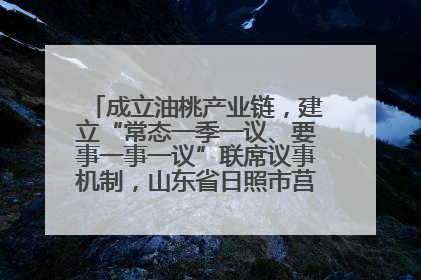 成立油桃产业链，建立“常态一季一议、要事一事一议”联席议事机制，山东省日照市莒县果庄镇——13个党小组“全周期”育果
