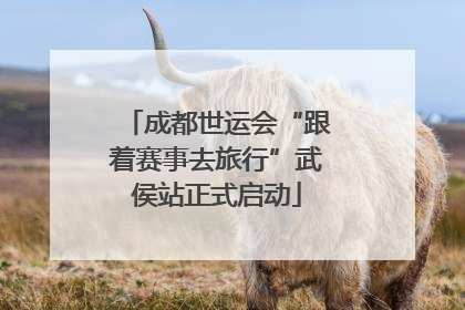 成都世运会“跟着赛事去旅行”武侯站正式启动