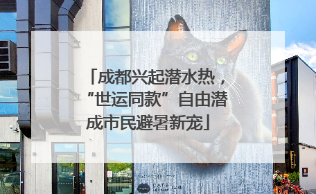 成都兴起潜水热，“世运同款”自由潜成市民避暑新宠