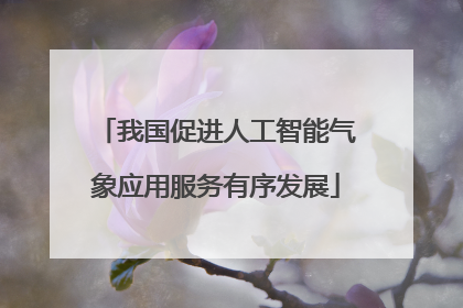 我国促进人工智能气象应用服务有序发展