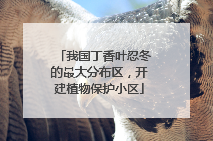 我国丁香叶忍冬的最大分布区，开建植物保护小区