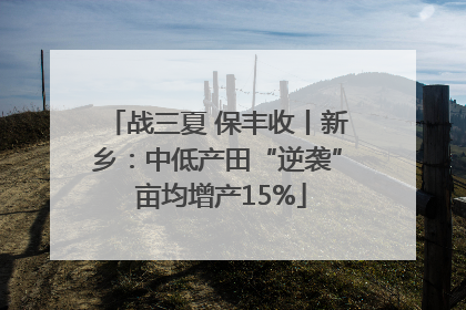战三夏 保丰收丨新乡：中低产田“逆袭” 亩均增产15%
