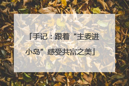 手记：跟着“主委进小岛”感受共富之美