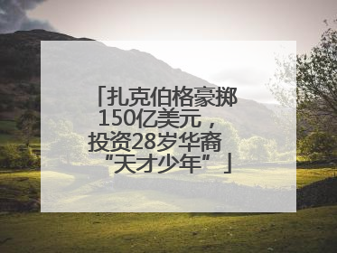 扎克伯格豪掷150亿美元，投资28岁华裔“天才少年”