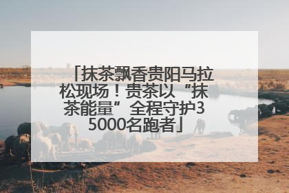 抹茶飘香贵阳马拉松现场！贵茶以“抹茶能量”全程守护35000名跑者