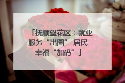 抚顺望花区：就业服务“出圈” 居民幸福“加码”