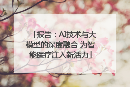 报告：AI技术与大模型的深度融合 为智能医疗注入新活力