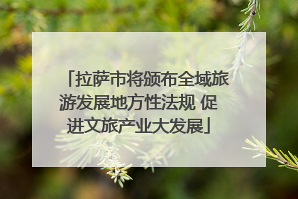 拉萨市将颁布全域旅游发展地方性法规 促进文旅产业大发展