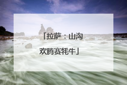 拉萨：山沟欢腾赛牦牛